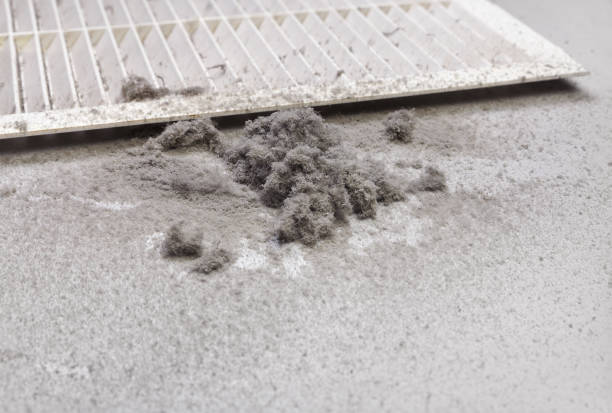 Best Affordable HVAC Duct Cleaning  in Milford, DE
